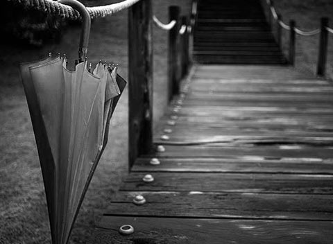 在线永久免费轰炸云呼